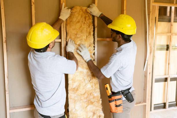 Best Best Insulation Companies  in East Bakersfield, CA